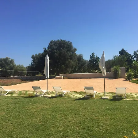 The Paradise - Il Paradiso Di *