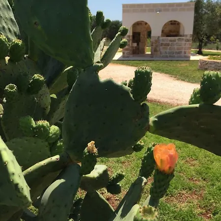 Villa The Paradise - Il Paradiso Di Ostuni