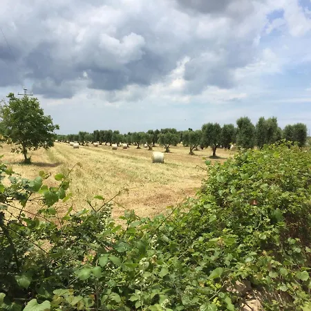 The Paradise - Il Paradiso Di * Ostuni