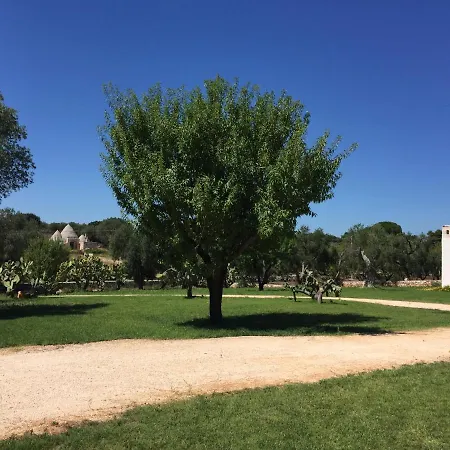 The Paradise - Il Paradiso Di